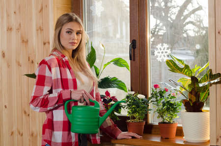 Happy young woman watering plant using sprinkling canの写真素材
