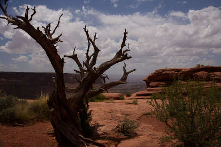Green River Overlook in Canyonlands National Park near Moab, Utah