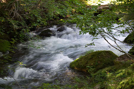 Hood River in the Oregon Cascade Mountains on the trail to Tamanawas Falls