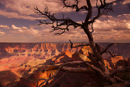 Walhalla Overlook at the North Rim of the Grand Canyon, Arizonaの写真素材