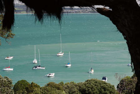 Waiheke Island, New Zealand Harbor from Kennedy Point Wineryの写真素材