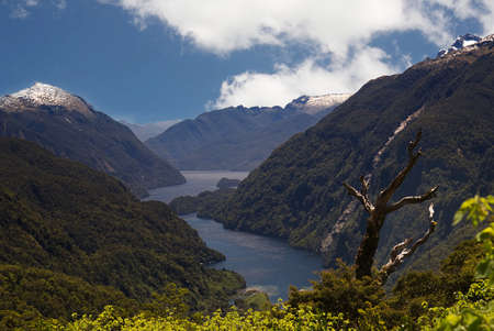 Doubtful Sound, South Island of New Zealand seen from Milford Passの写真素材