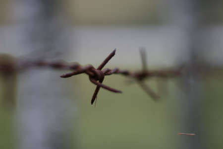 Barbed wire close-up