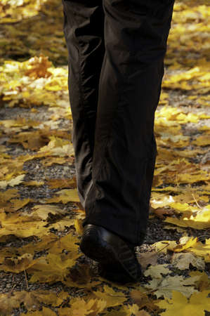 Young woman walking on a beautiful autumn path 