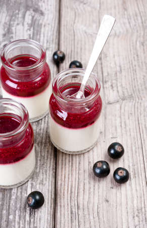 Panna cotta with black currant sorbet in glass flasksの写真素材