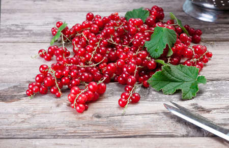 Fresh ripe red currants on a wooden table