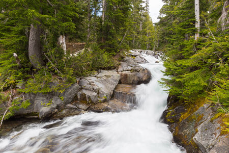 Rapids on the Paradise River, Mt  Rainier National Park, Washingtonの写真素材