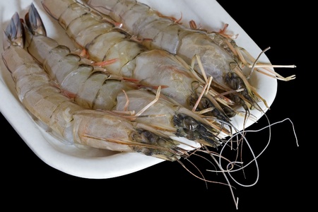Raw cleaned prawns on a white plate の写真素材