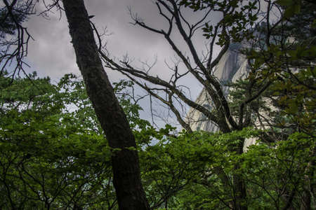 Mountain viewの写真素材