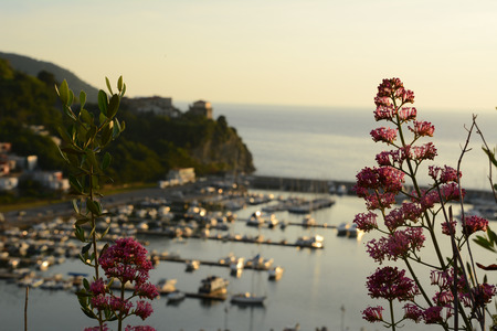 Agropoli Harbour Italyの写真素材