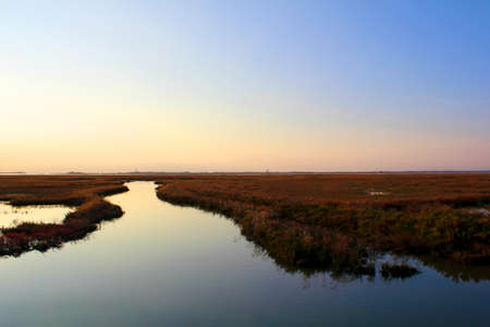 lio piccolo is a place in lagoon of venice