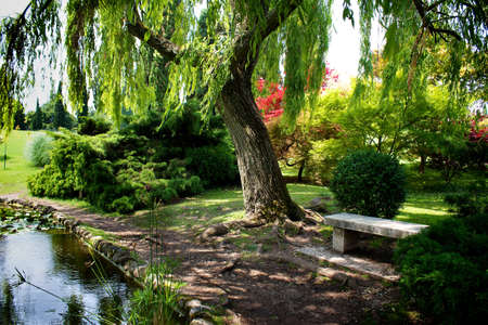 beautiful garden in a natural park