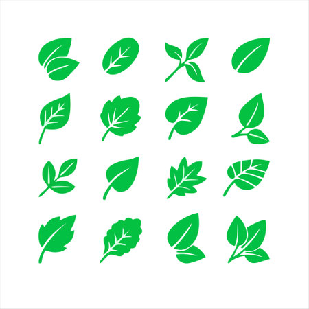 Leaf icon set. Vector illustration isolated on a white background.のイラスト素材