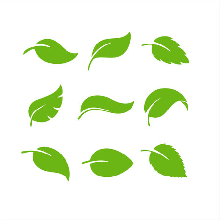 Leaf icon set. Vector illustration isolated on a white background.のイラスト素材