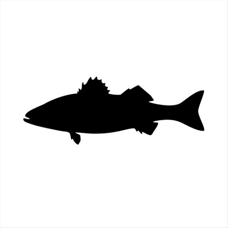 Black silhouette of a fish on a white background. Vector illustration.のイラスト素材