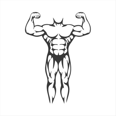 Bodybuilder muscle vector illustration isolated on white background. Muscular man body.のイラスト素材