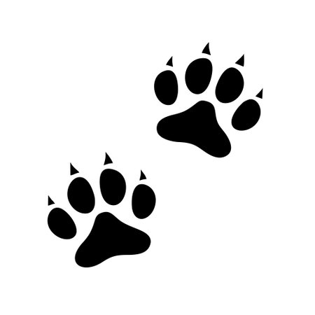Paw Prints Icon. Black Silhouette Design. Vector Illustration.のイラスト素材