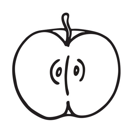 apple doodle icon, vector line illustrationのイラスト素材