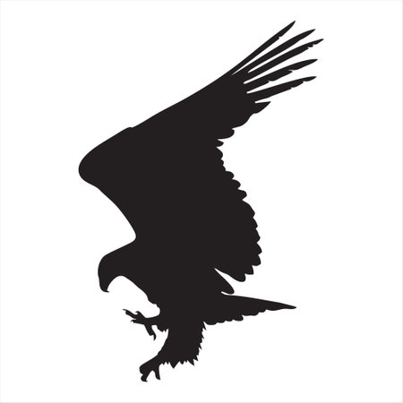 Eagle Design Vector, Luxury Eagle, Eagle Icon Picture, Eagle Icon Vector, Eagle Falcon, Eagle Logo white shield, Head Eagle logo Design, Eagle Falcon Vectorのイラスト素材