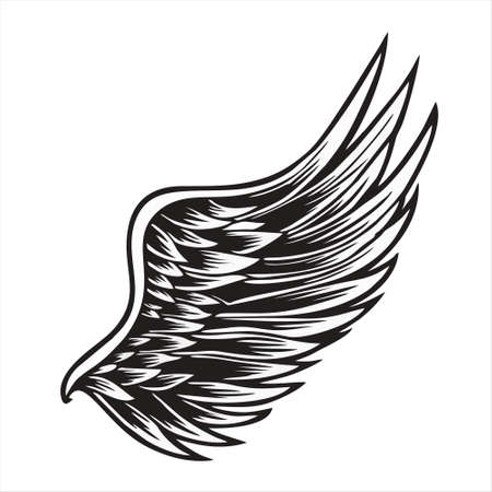 Hawk bird icon isolated on white background. Hawk bird icon in trendy design style for web site and mobile app. Hawk bird vector icon modern and simple symbol. Hawk bird icon vectoのイラスト素材