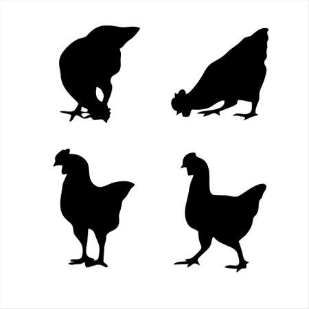 Chicken icon isolated on white background from religion collection. Chicken icon trendy and modern Chicken symbol for logo, web, app, UI.のイラスト素材