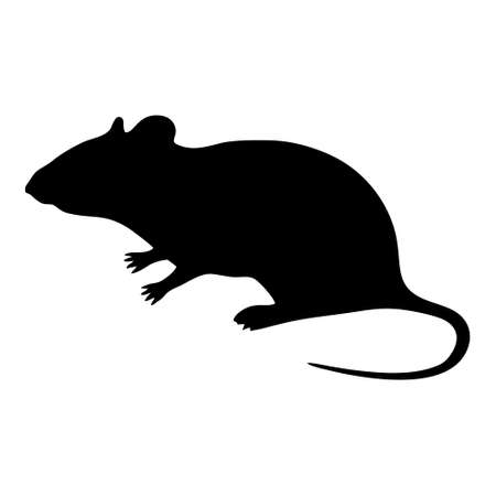 Rat icon isolated on white background. Rat icon in trendy design style. Rat vector icon modern and simple flat symbol for web site, mobile, logo, app, UI.のイラスト素材