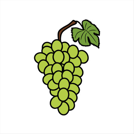 Grapes icon. Vector illustration of a bunch of grapes.のイラスト素材