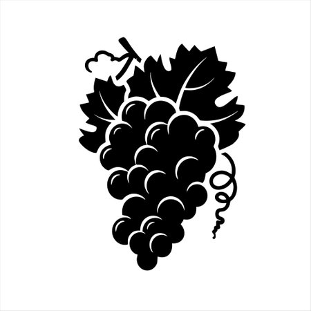 Grapes icon isolated on the white background. Vector illustration.のイラスト素材