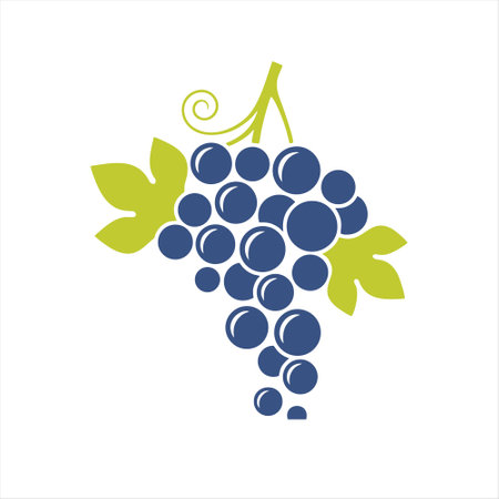 Grapes icon isolated on white background. Vector Illustration.のイラスト素材