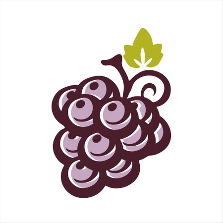 grapes icon isolated on white background. vector illustration eps 10のイラスト素材