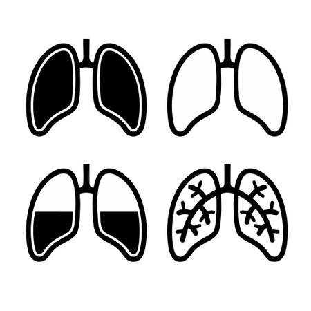 Lungs icon set. Lungs vector icon. Lungs vector iconのイラスト素材