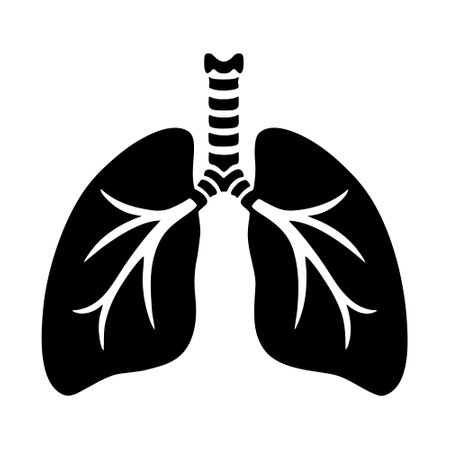 Lungs black simple icon on white background. Vector illustration.のイラスト素材