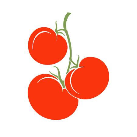 Tomatoes icon vector isolated on white background for your web and mobile app design, Tomato logo conceptのイラスト素材