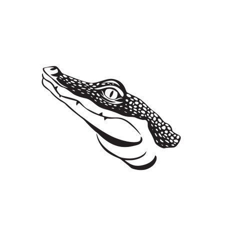 Crocodile head, black and white vector illustration isolated on white backgroundのイラスト素材
