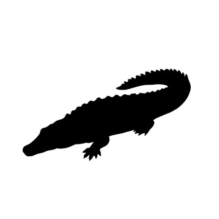 Crocodile black silhouette isolated on white background. Vector illustration.のイラスト素材