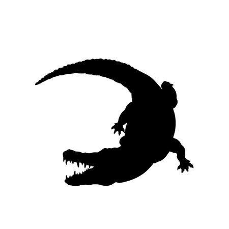 Crocodile silhouette isolated on white background. Vector illustration.のイラスト素材