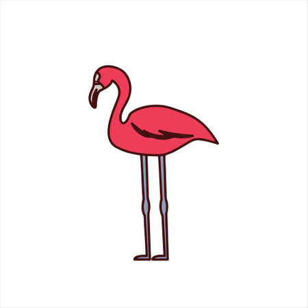 Flamingo doodle icon on white background. Vector illustrationのイラスト素材
