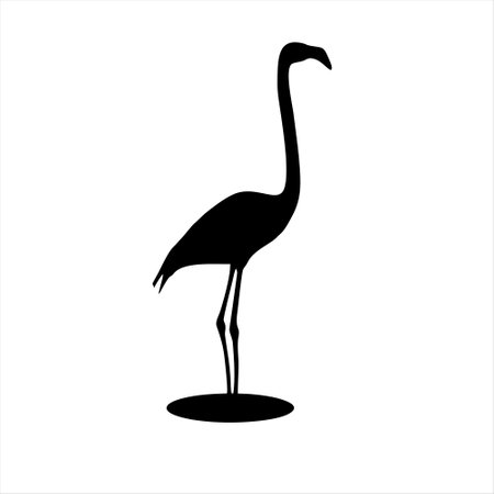 Silhouette of a flamingo on a white background. Vector illustrationのイラスト素材