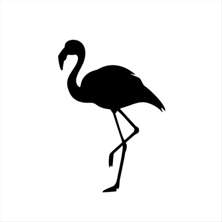 Flamingo silhouette isolated on a white background. Vector illustration.のイラスト素材