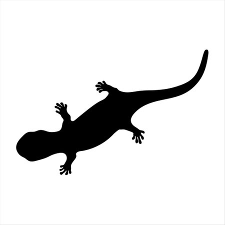silhouette of a lizard on a white background. vector illustrationのイラスト素材