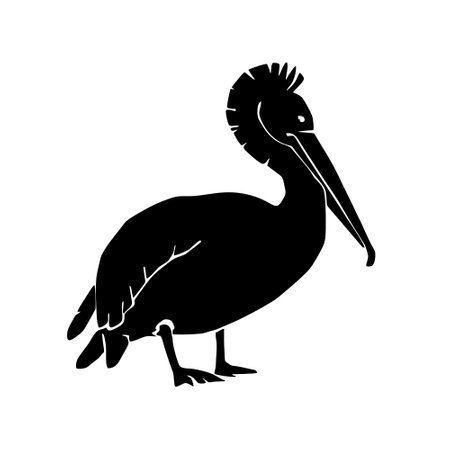 silhouette of pelican bird animal isolated icon vector illustration designのイラスト素材