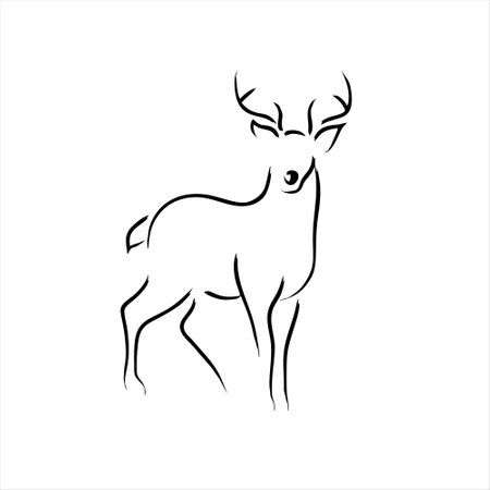 deer line art on white background. vector illustration. EPS 10のイラスト素材