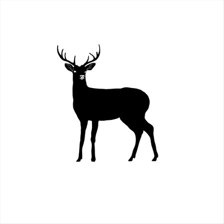 silhouette of a deer on a white background. vector illustrationのイラスト素材