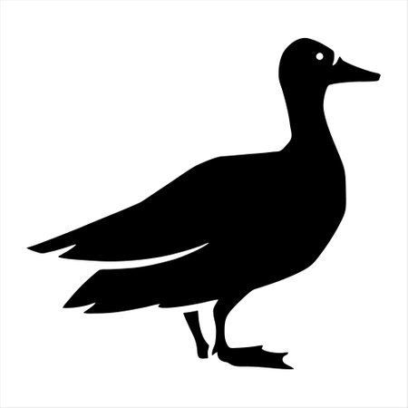 Vector image of a silhouette of a duck on a white background.のイラスト素材