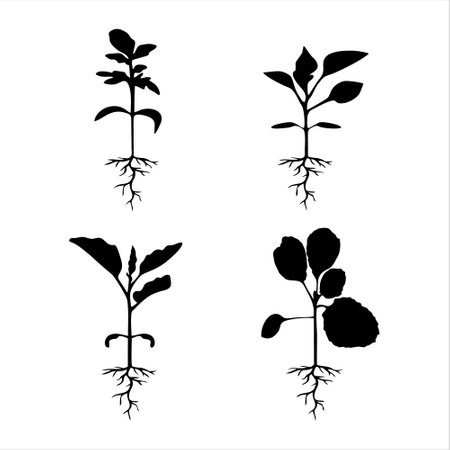 Set of black silhouettes of plants and roots. Vector illustration.のイラスト素材
