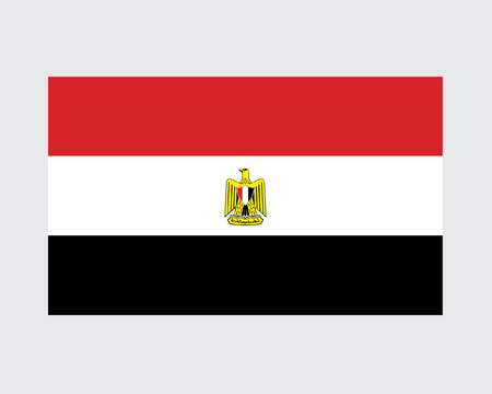 Flag of Egypt Realisticのイラスト素材