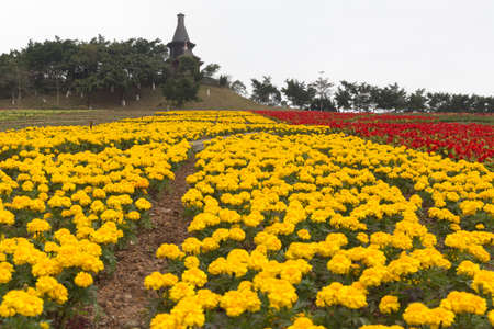 Shenzhen Overseas Chinese Town East, OCT Eastのeditorial素材