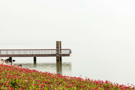 Shenzhen Bay Parkの写真素材