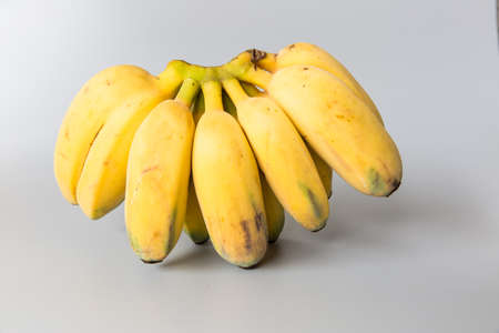 Still-picture bananasの写真素材