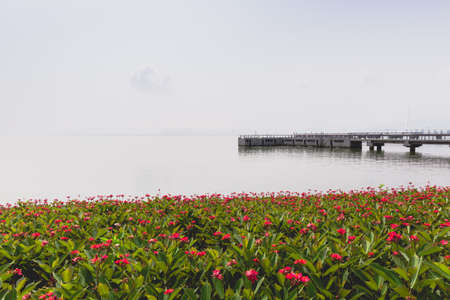 Ocean scenery